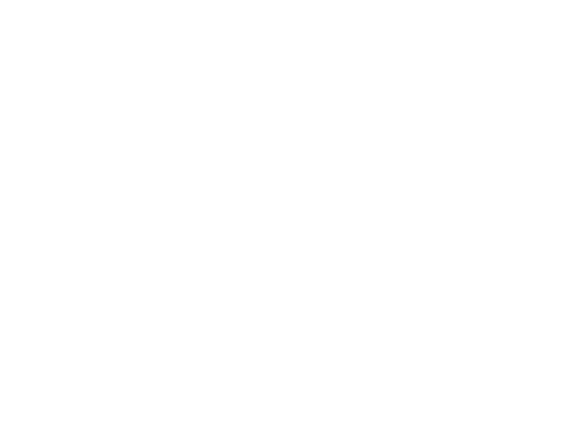 Nexix solution logo white transparent